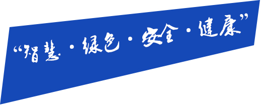 智慧，绿色，安全，健康